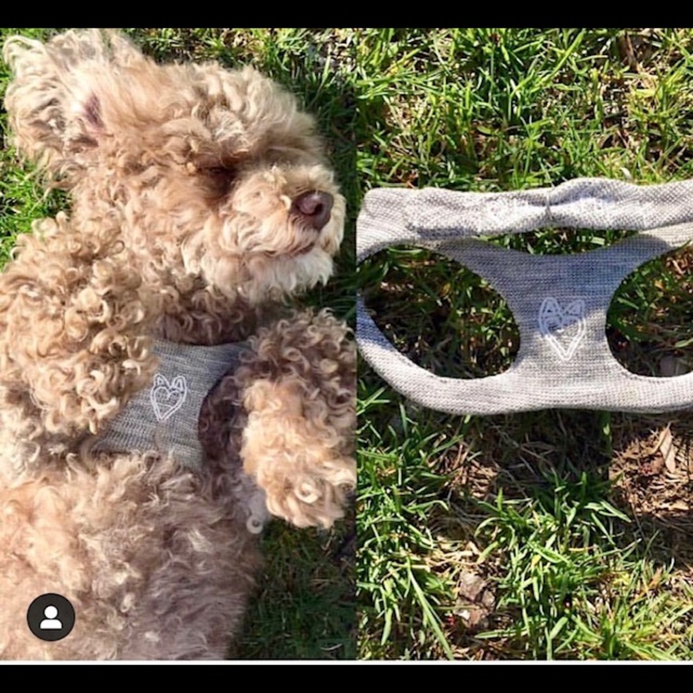 HeartPup custom color puppy slip on body harnesses